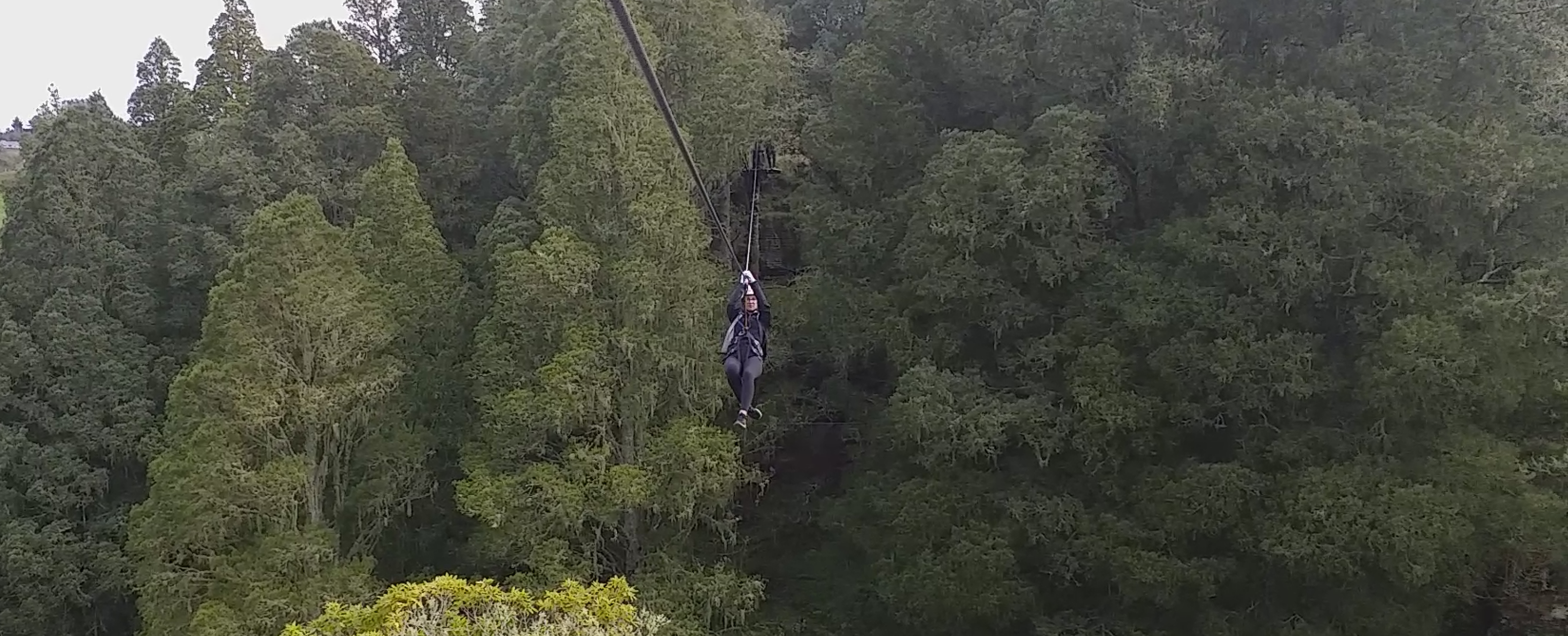 Flying on Ziplines through native trees in Waitomo, only 1hr drive from Hamilton City